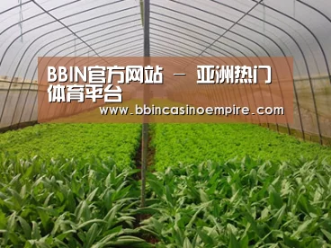 种植基地四