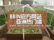 环境展示五