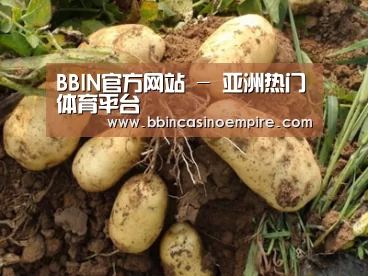 种植基地六