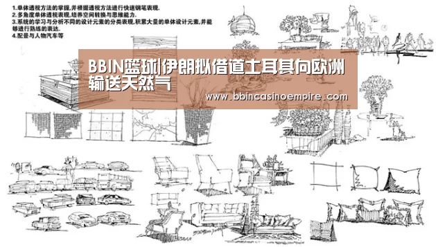 BBIN篮球|伊朗拟借道土耳其向欧洲输送天然气(图4) BBIN地址